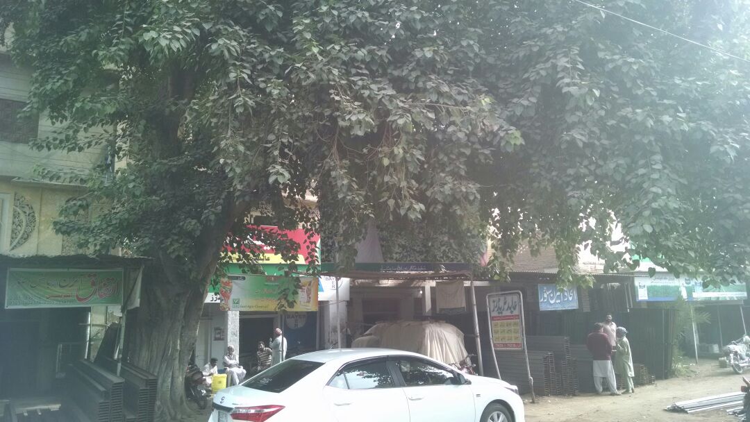 distance - sugarcane