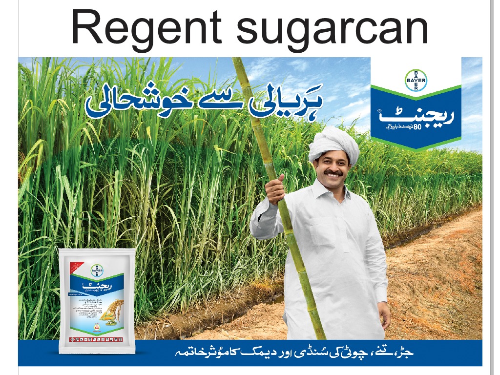 distance - vegetables